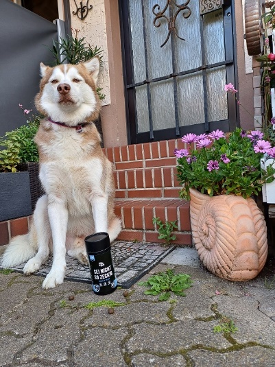 Husky mit einem Produkt von Tales & Tails vor der Praxis
