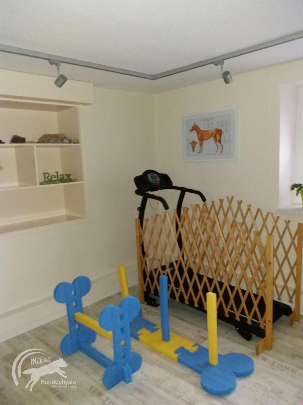 Heller Therapieraum der Praxis von Mikas Hundephysio
