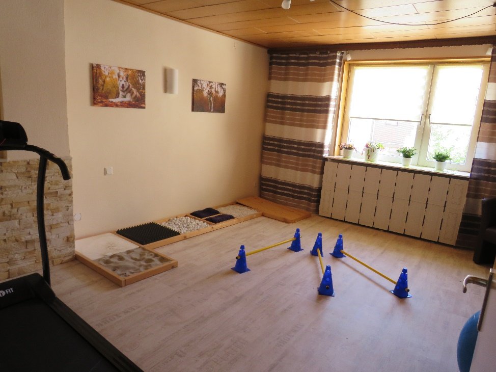 Gangparcours mit Pylonen und verschiedenen Untergründen im Therapieraum