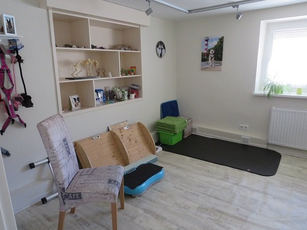 Therapieraum mit Trainingsgeräten bei Mikas Hundephysio